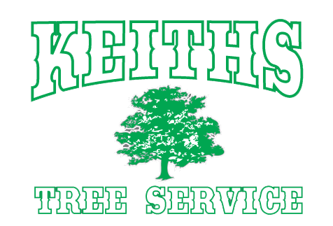 Keith's Tree Service